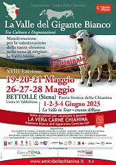 La valle del gigante bianco